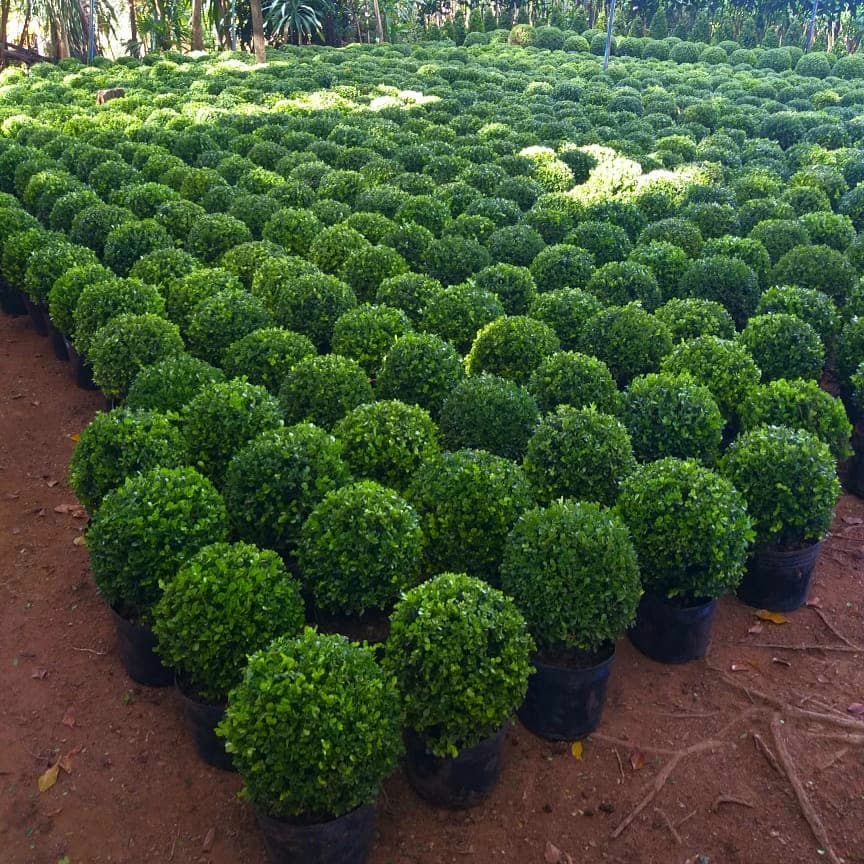 Snapinsta.app_140571567_239287820984652_4824239600361199301_n_1080