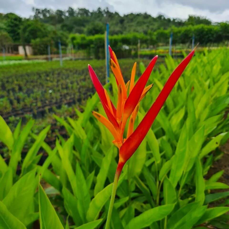 Snapinsta.app_277842334_1184564059037341_2672779704793214962_n_1080