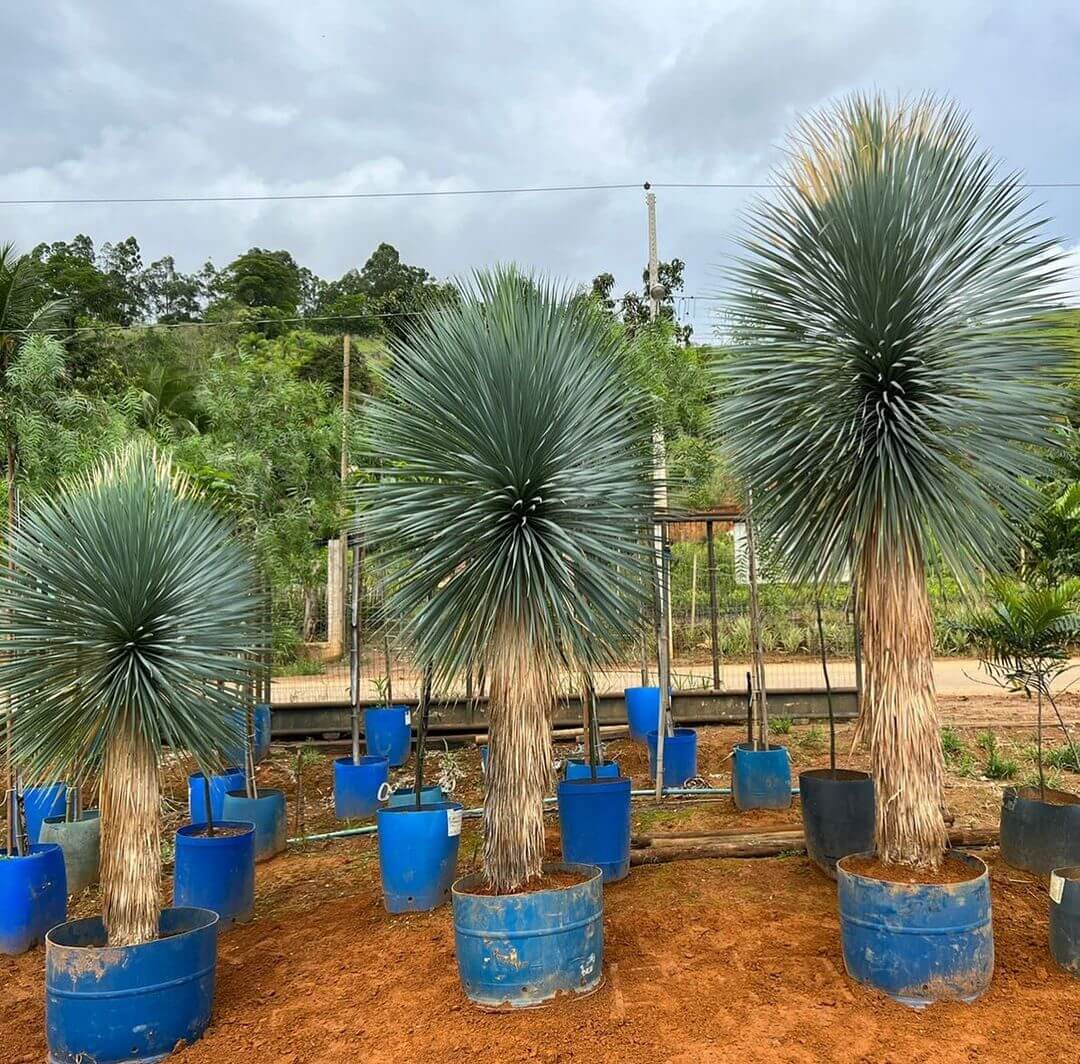 Snapinsta.app_367638986_673437781000867_6199441035742799266_n_1080 - Copia