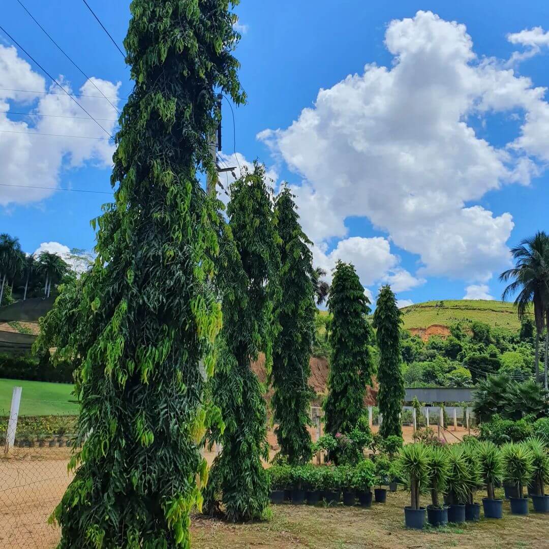 WhatsApp Image 2023-09-28 at 13.59.36 (1)