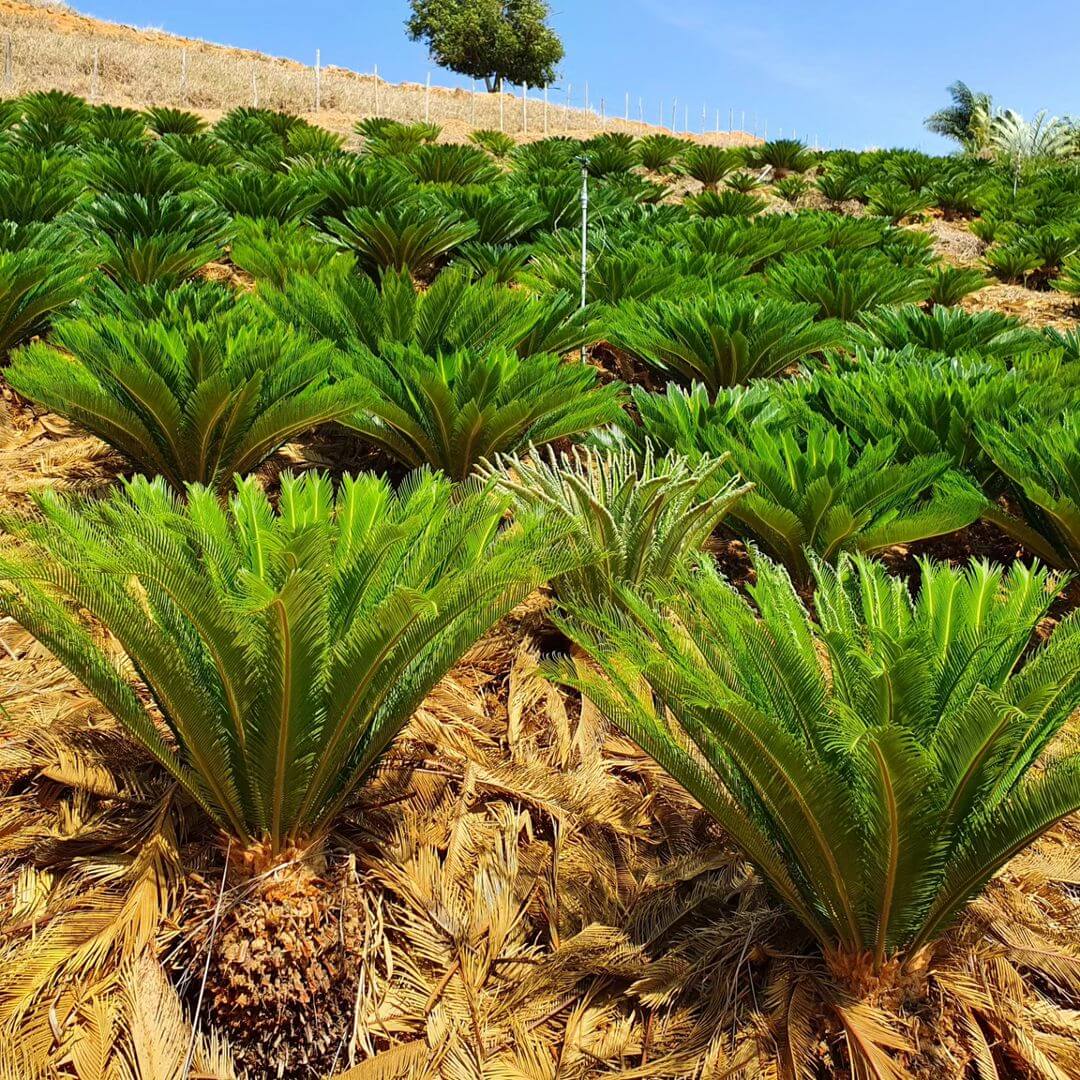 WhatsApp Image 2023-09-28 at 13.59.38 (1)