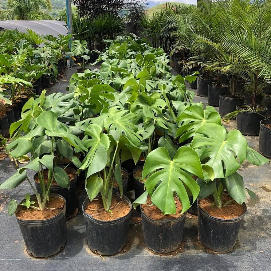 WhatsApp Image 2023-09-28 at 13.59.42 (2)