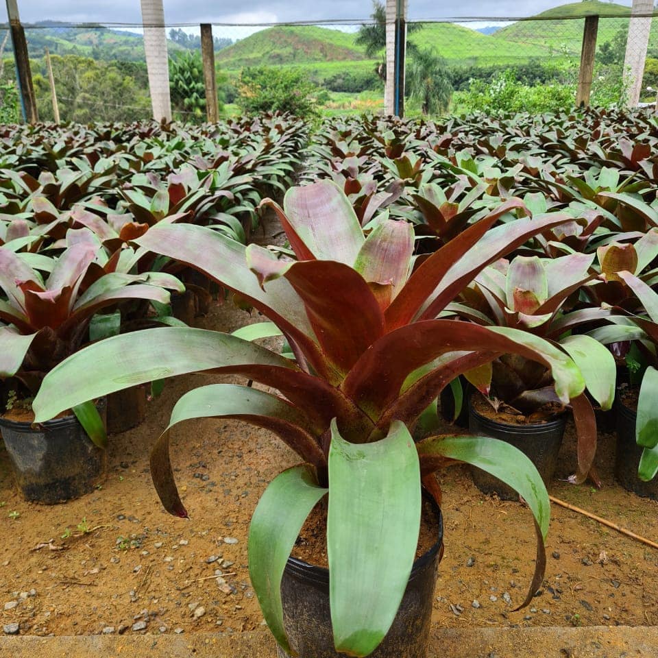 WhatsApp Image 2023-09-28 at 13.59.44